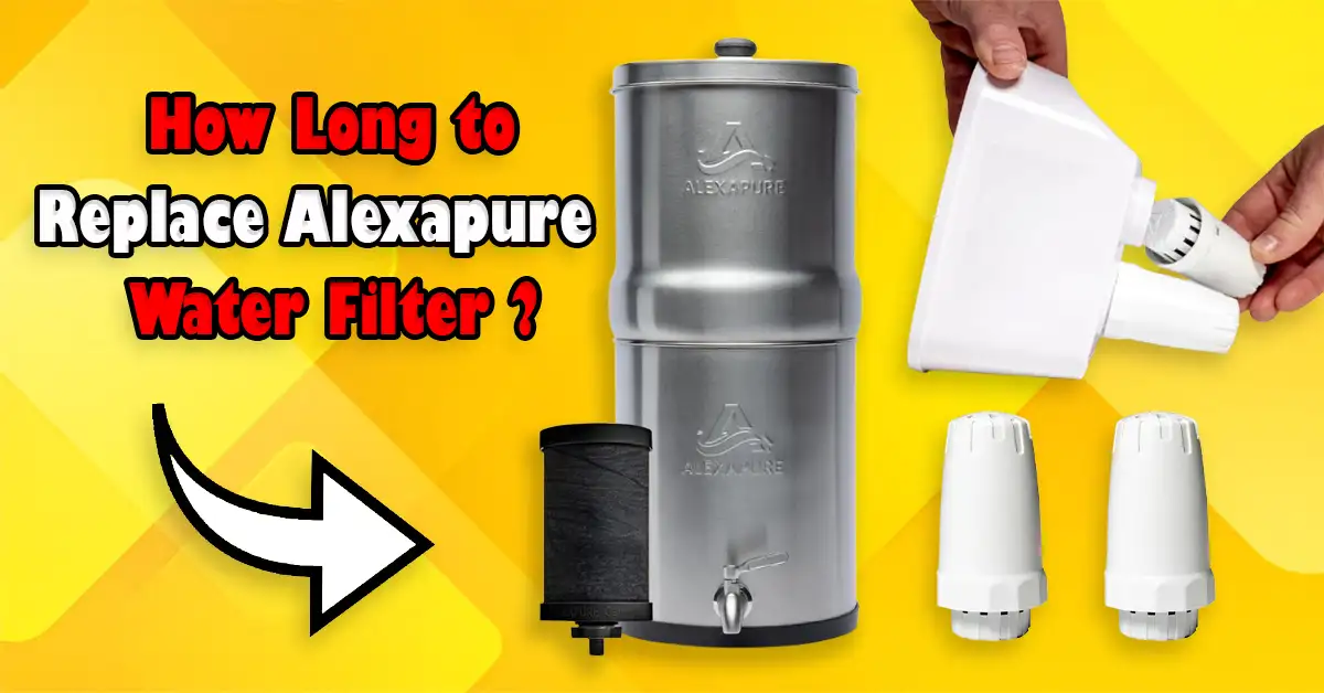 How Long to Replace Alexapure Water Filter?