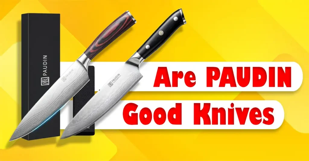 Are PAUDIN Good Knives